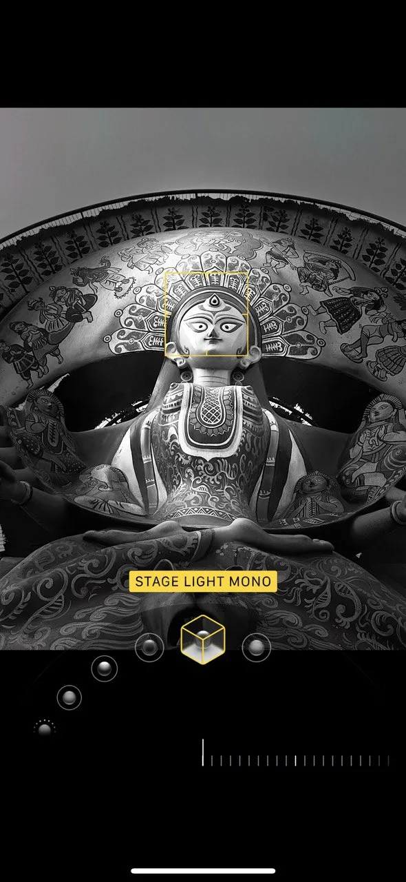 ảnh chân dung trắng đen sử dụng chế độ Ánh Sáng Sân Khấu Đơn Sắc iPhone