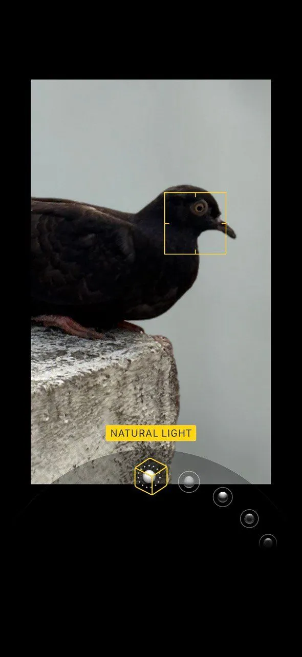 ảnh chụp màn hình chế độ chân dung iPhone với Ánh Sáng Tự Nhiên được chọn