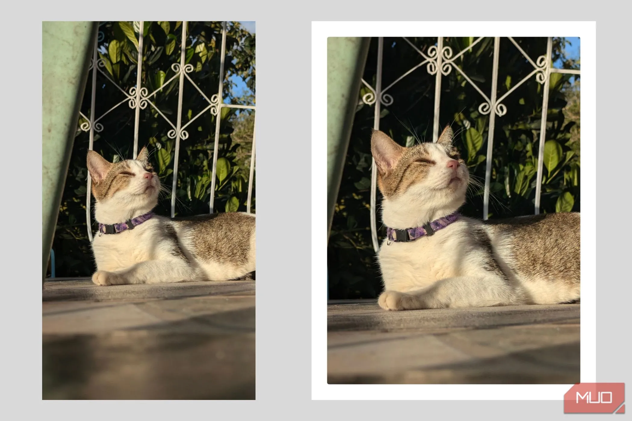Ảnh chụp với tỷ lệ 4:3 và thêm viền trắng phong cách Polaroid