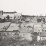 Ảnh đen trắng một trang trại cũ với cánh đồng lúa và nhà kho được AI tô màu chân thực