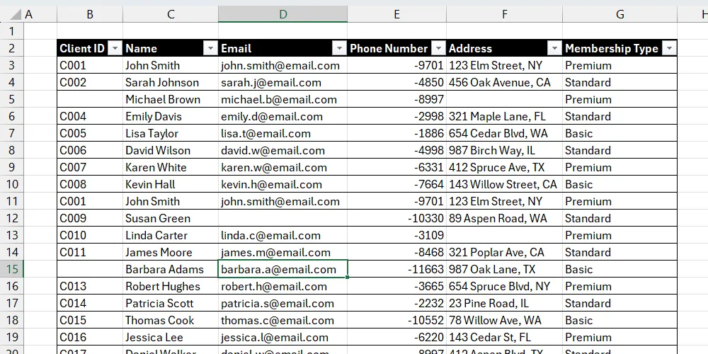 Bảng dữ liệu Excel chưa làm nổi bật các ô trống