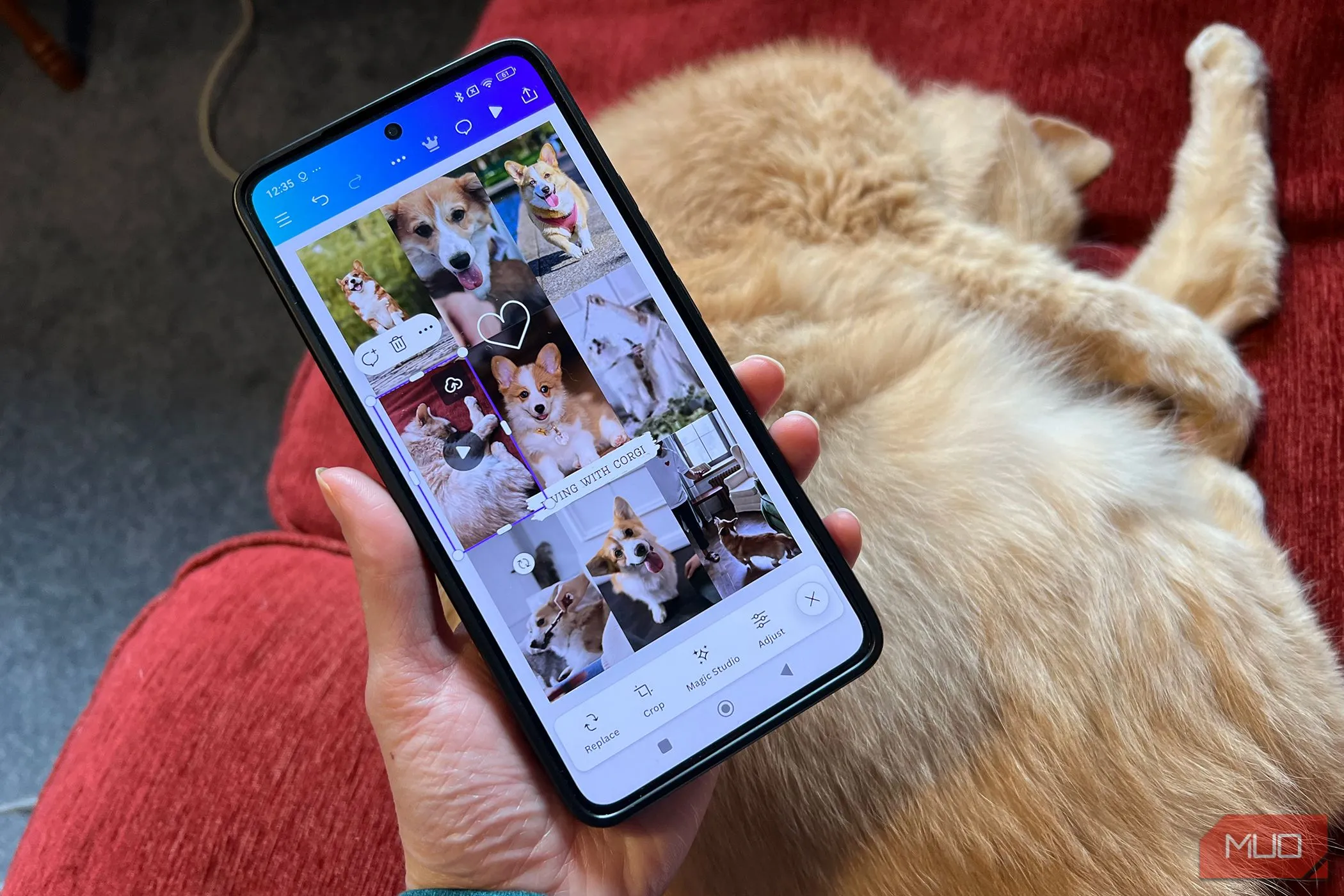 Canva chỉnh sửa video trên Android