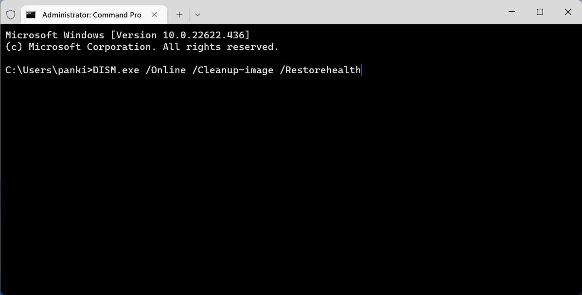 Chạy lệnh DISM trên Windows Terminal để sửa lỗi hệ thống