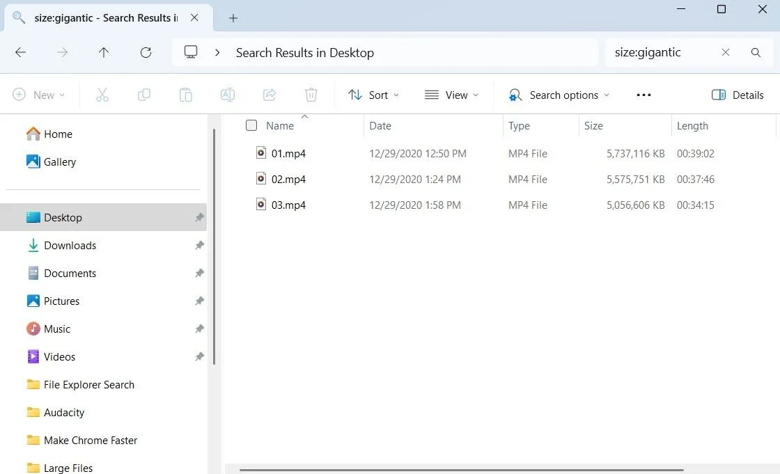 Cửa sổ File Explorer trên Windows hiển thị kết quả tìm kiếm các tập tin lớn