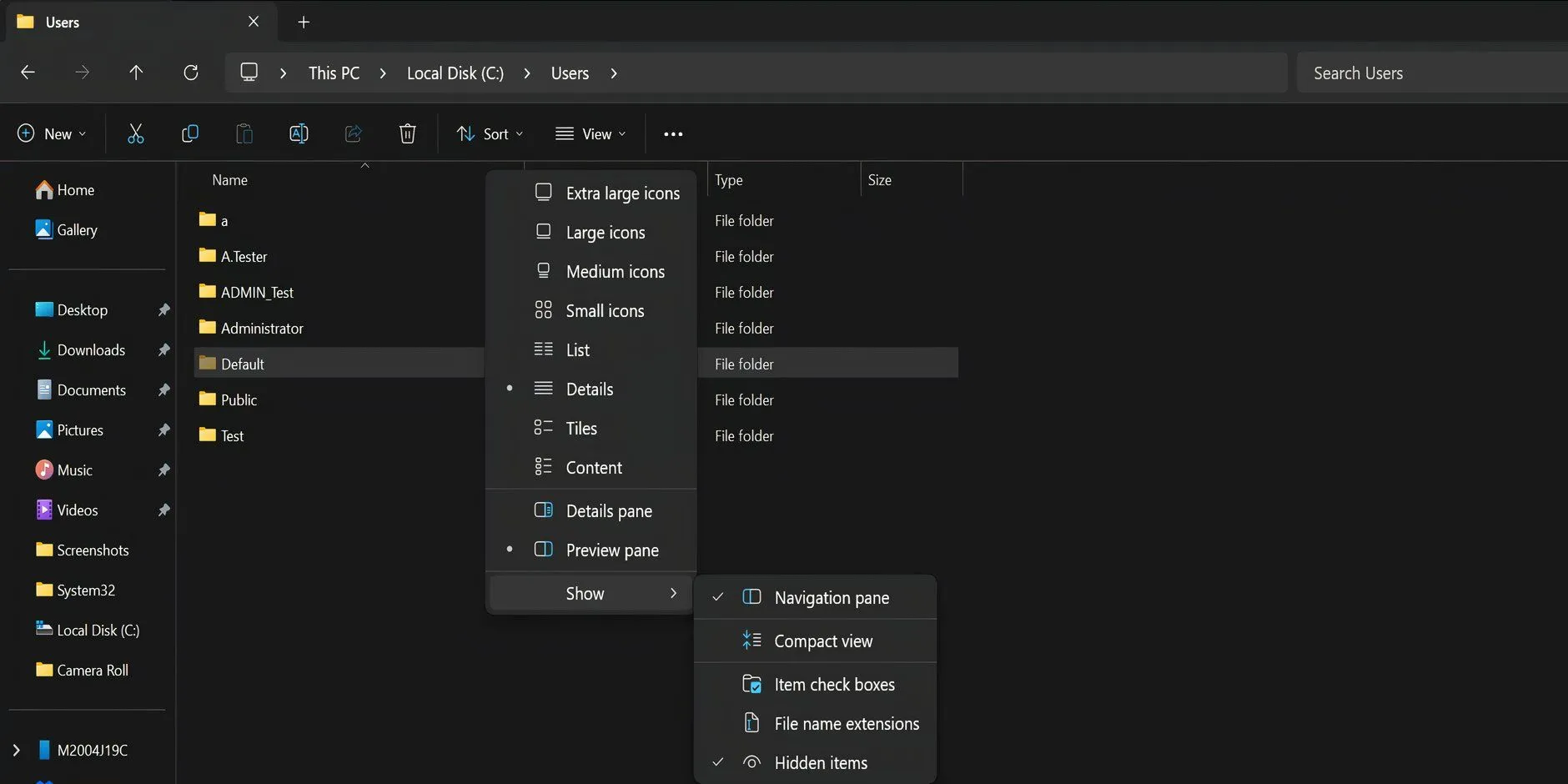 Cửa sổ File Explorer với tùy chọn Mục ẩn trong phần Hiển thị
