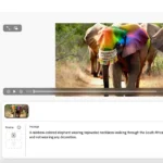 Giao diện Adobe Firefly tạo video từ văn bản