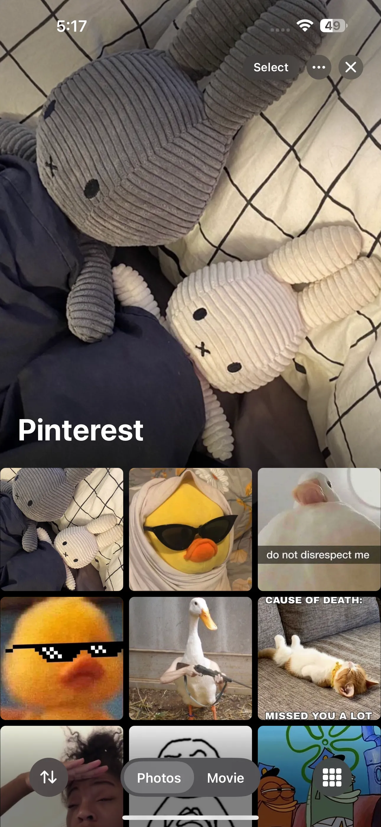 Giao diện album &quot;Pinterest&quot; trong ứng dụng Ảnh iOS, sẵn sàng để lọc