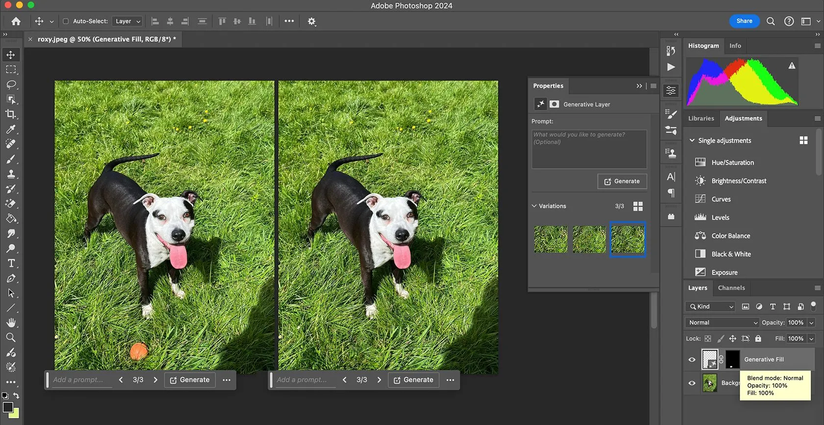 Giao diện công cụ Generative Fill AI trong Adobe Photoshop