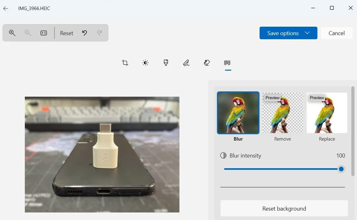 Giao diện công cụ xóa nền ảnh trong ứng dụng Photos Windows 11