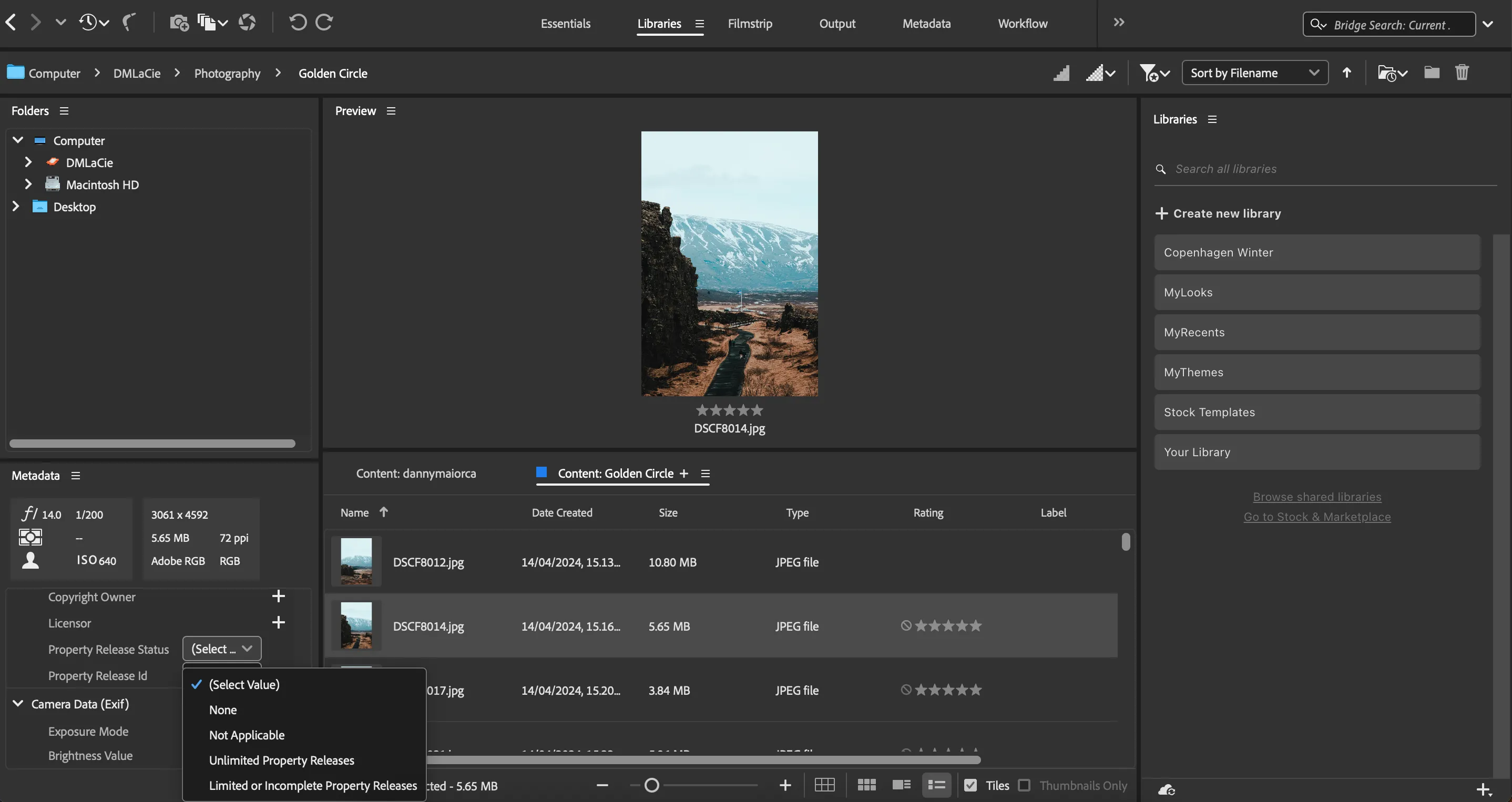 Giao diện điền thông tin ID tài sản và bản quyền trong Adobe Bridge