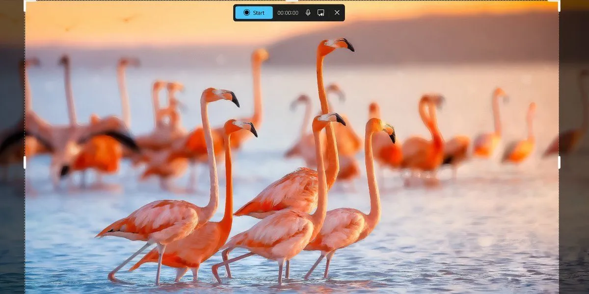 Giao diện menu tính năng ghi hình màn hình của Snipping Tool trên Windows 11, hiển thị các tùy chọn âm thanh và khu vực quay