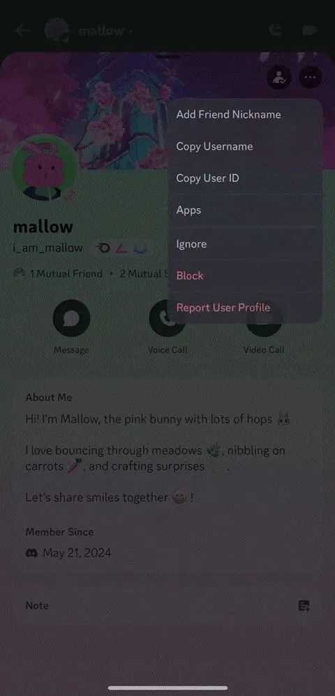 Giao diện người dùng Discord với menu tùy chọn, chuẩn bị chọn Ignore