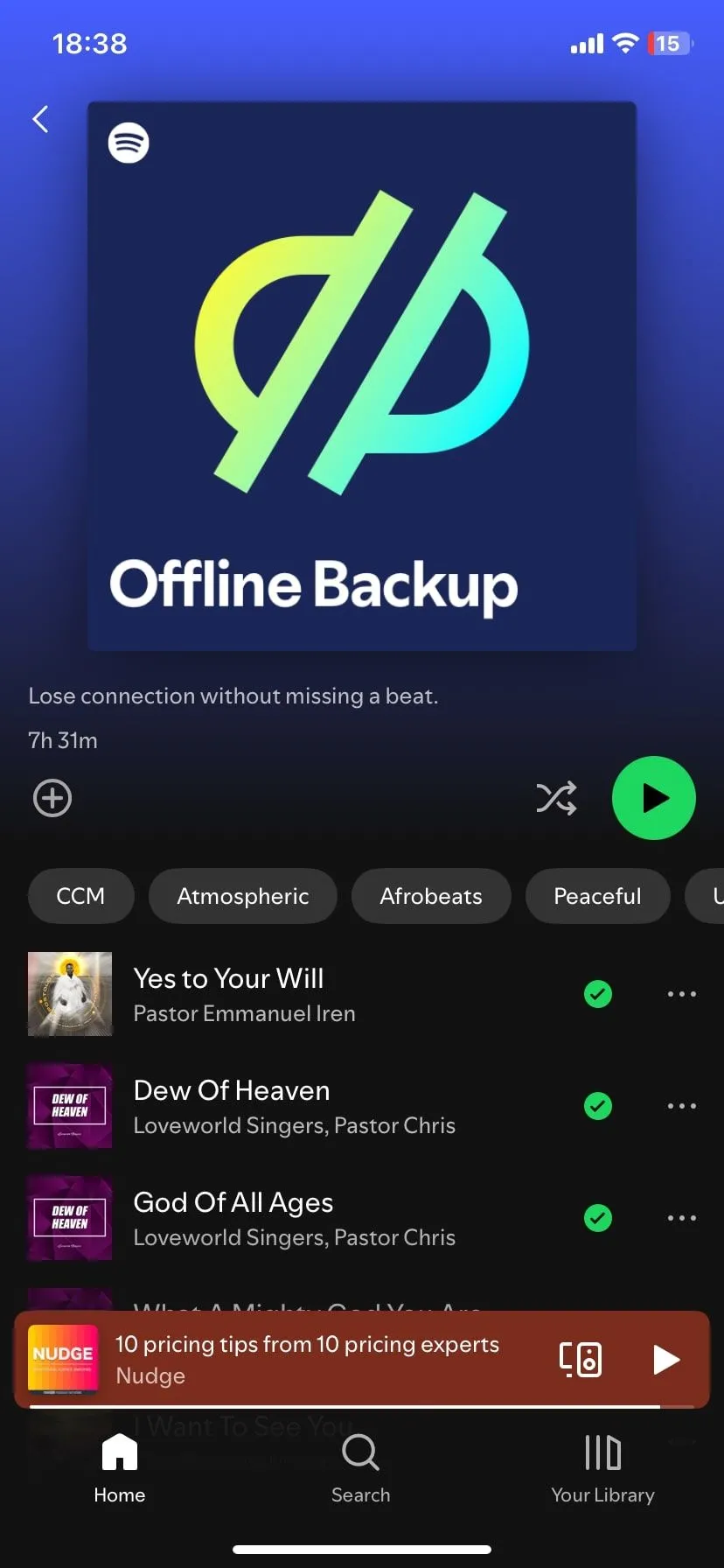 Giao diện Spotify hiển thị các bài hát đã tải về để nghe ngoại tuyến, lý tưởng cho những chuyến đi dài hoặc nơi không có internet.