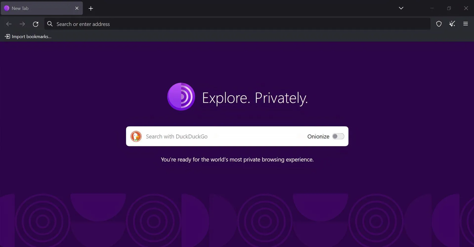 Giao diện trình duyệt Tor Browser, công cụ cần thiết để truy cập Dark Web ẩn danh.