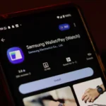 Giao diện ứng dụng Samsung Wallet trên điện thoại Android, minh họa tính năng thanh toán không tiếp xúc.