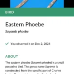 Giao diện ứng dụng Seek đang nhận dạng thực vật qua camera điện thoại