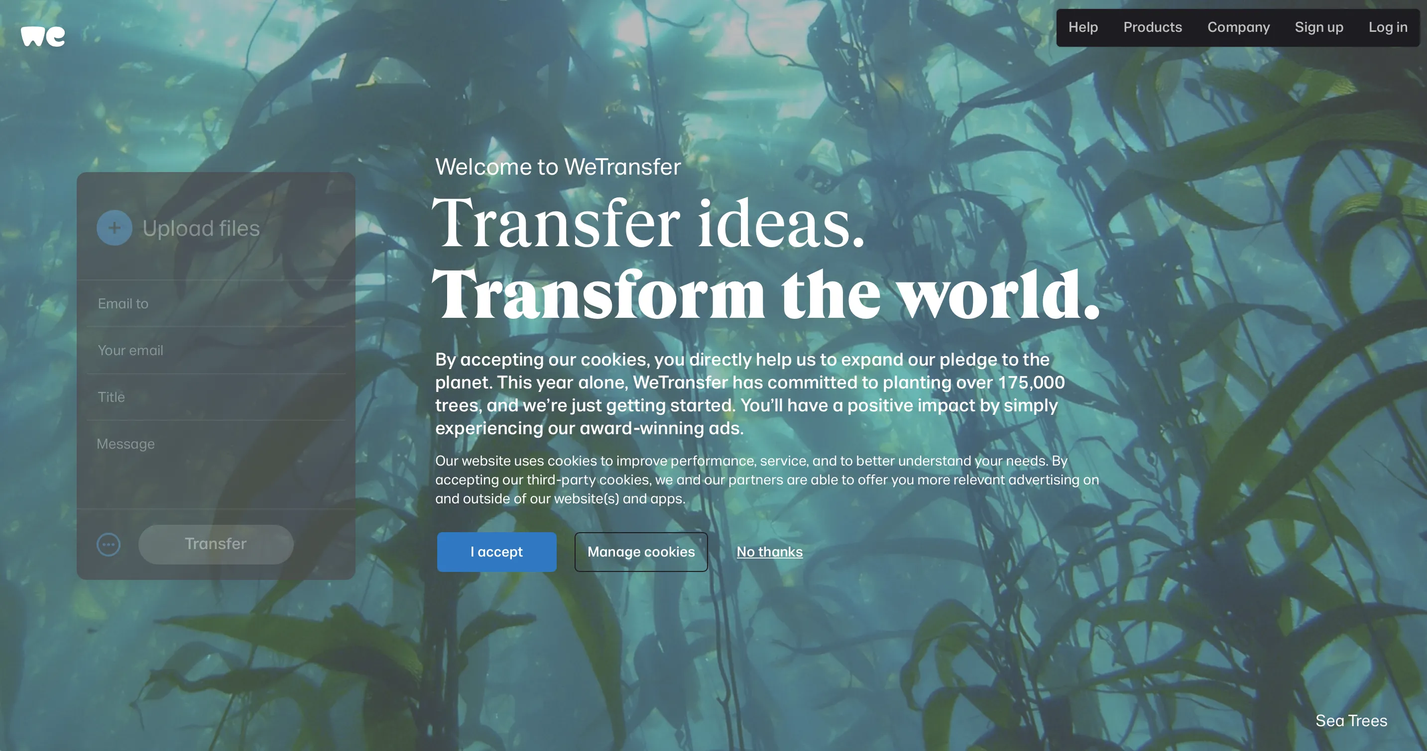 Giao diện WeTransfer đơn giản và trực quan, giúp người dùng dễ dàng tải lên và gửi tệp tin lớn mà không cần tài khoản.