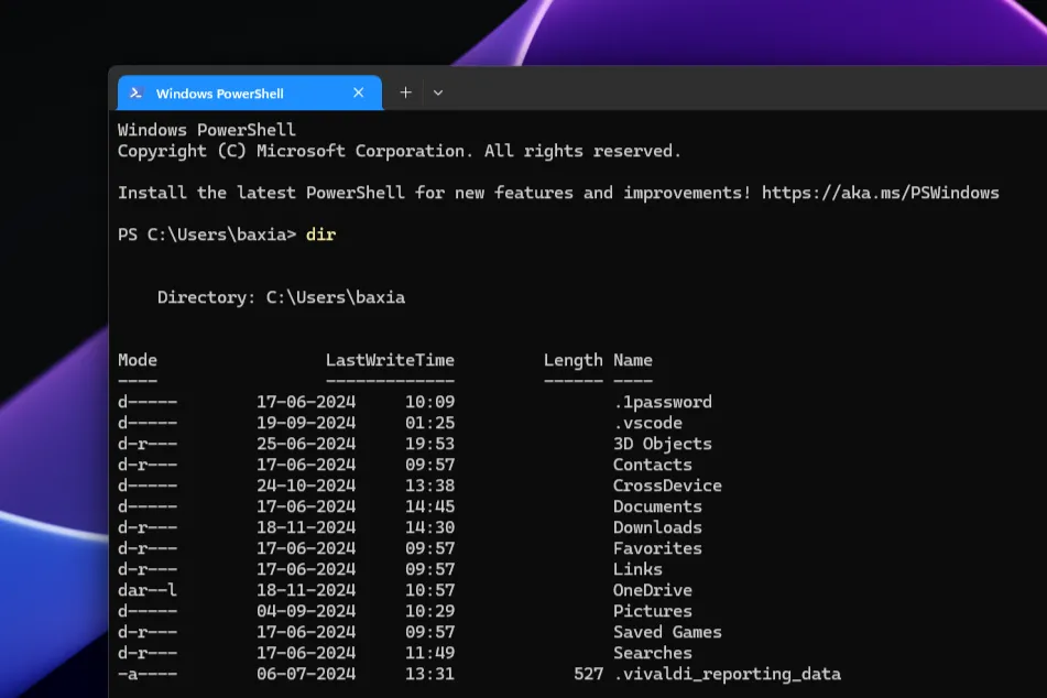 Giao diện Windows PowerShell đang hoạt động trên Windows 11