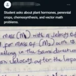 Học sinh tải bài tập và yêu cầu Meta AI giải đáp