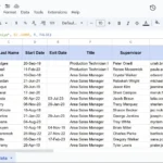 Kết quả của hàm VLOOKUP trong Google Sheets hiển thị thông tin tìm kiếm "Saniya"