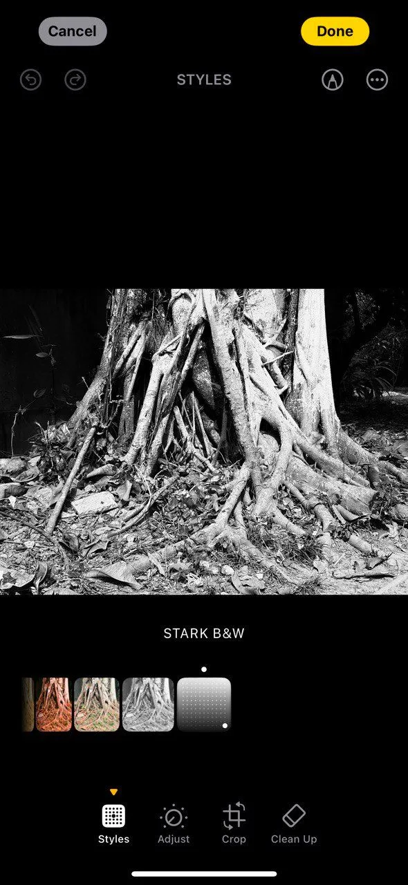 Kiểu ảnh Đen trắng Stark B&amp;W trên iPhone 16
