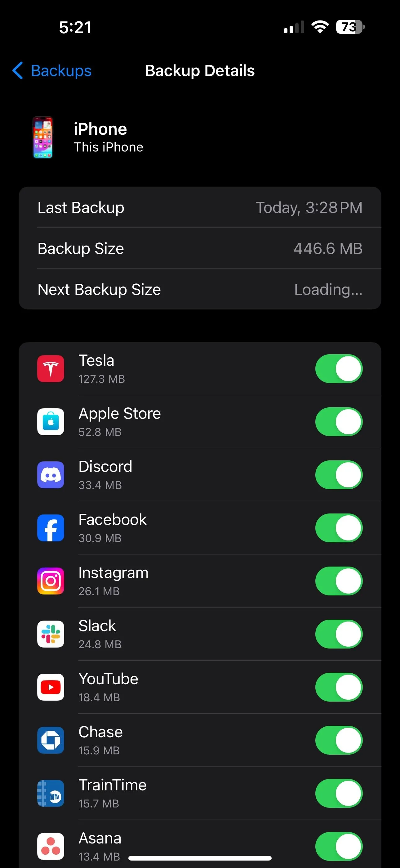 Màn hình hiển thị danh sách tất cả các ứng dụng đã được sao lưu tự động lên iCloud của Apple.