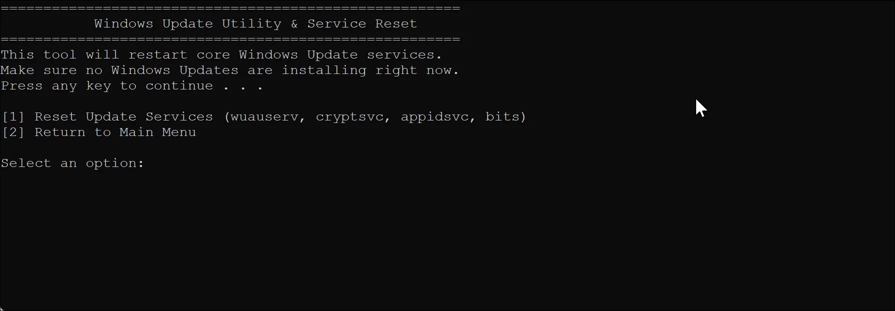 Màn hình lệnh của Windows Update Utility &amp; Service Reset trong Windows Maintenance Tool