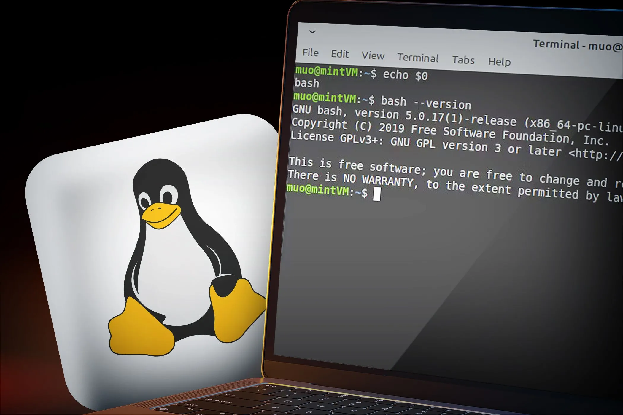 Màn hình máy tính hiển thị giao diện dòng lệnh Linux với logo Linux, tượng trưng cho tính bảo mật và mã nguồn mở của hệ điều hành.