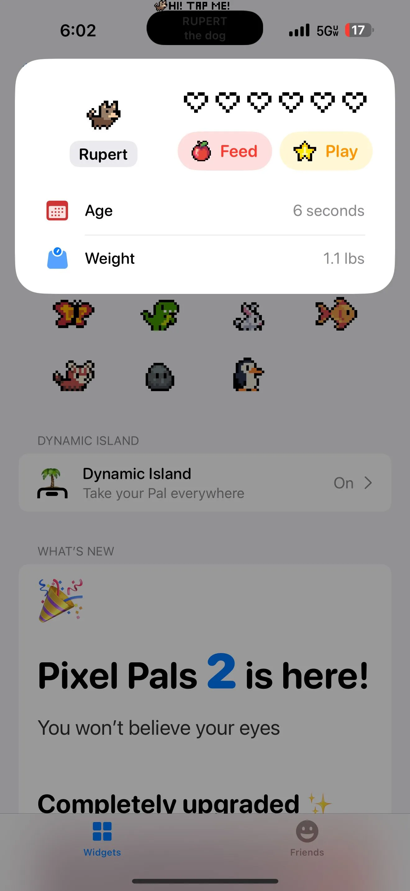 Màn hình thông tin chú chó trong ứng dụng Pixel Pals cho Dynamic Island.