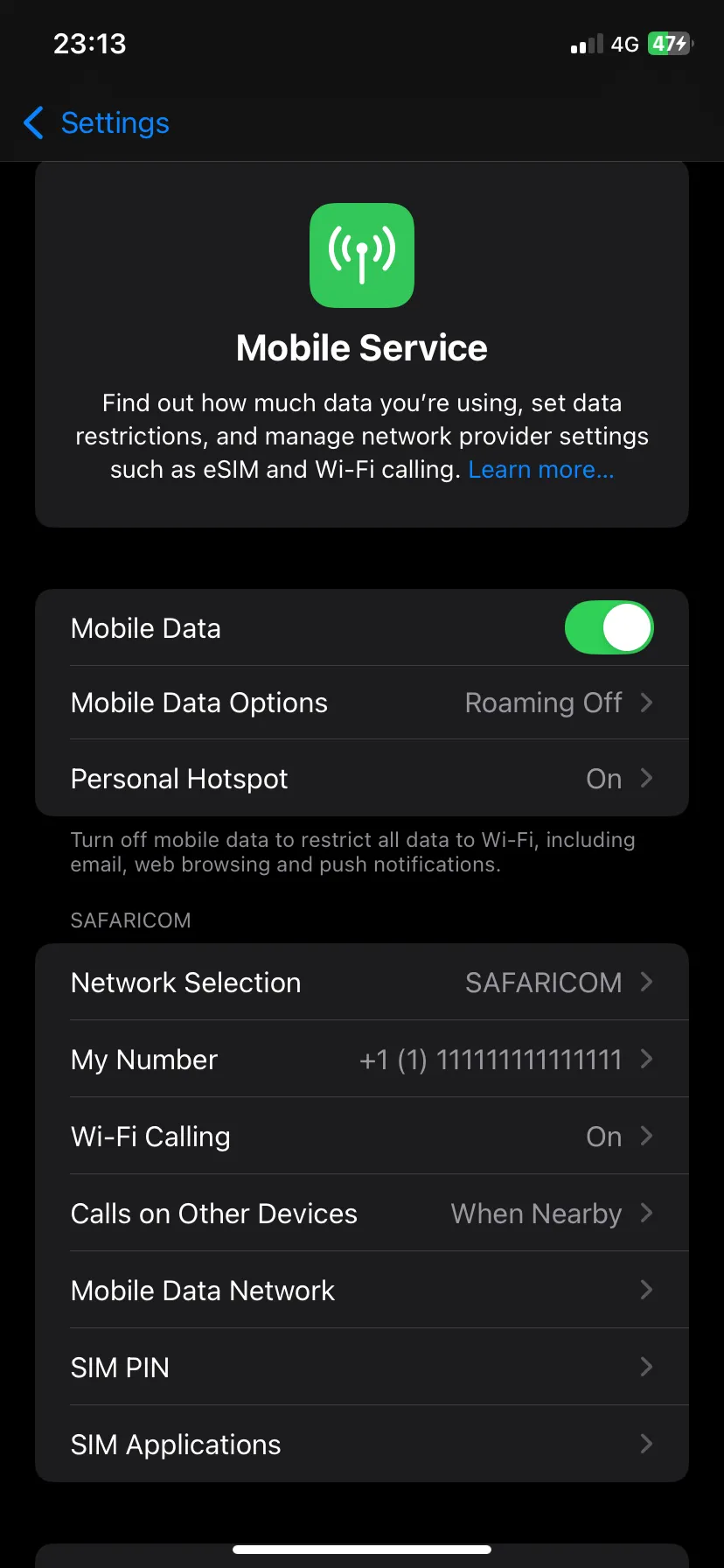 Màn hình Tùy chọn dữ liệu di động trong ứng dụng Cài đặt iOS