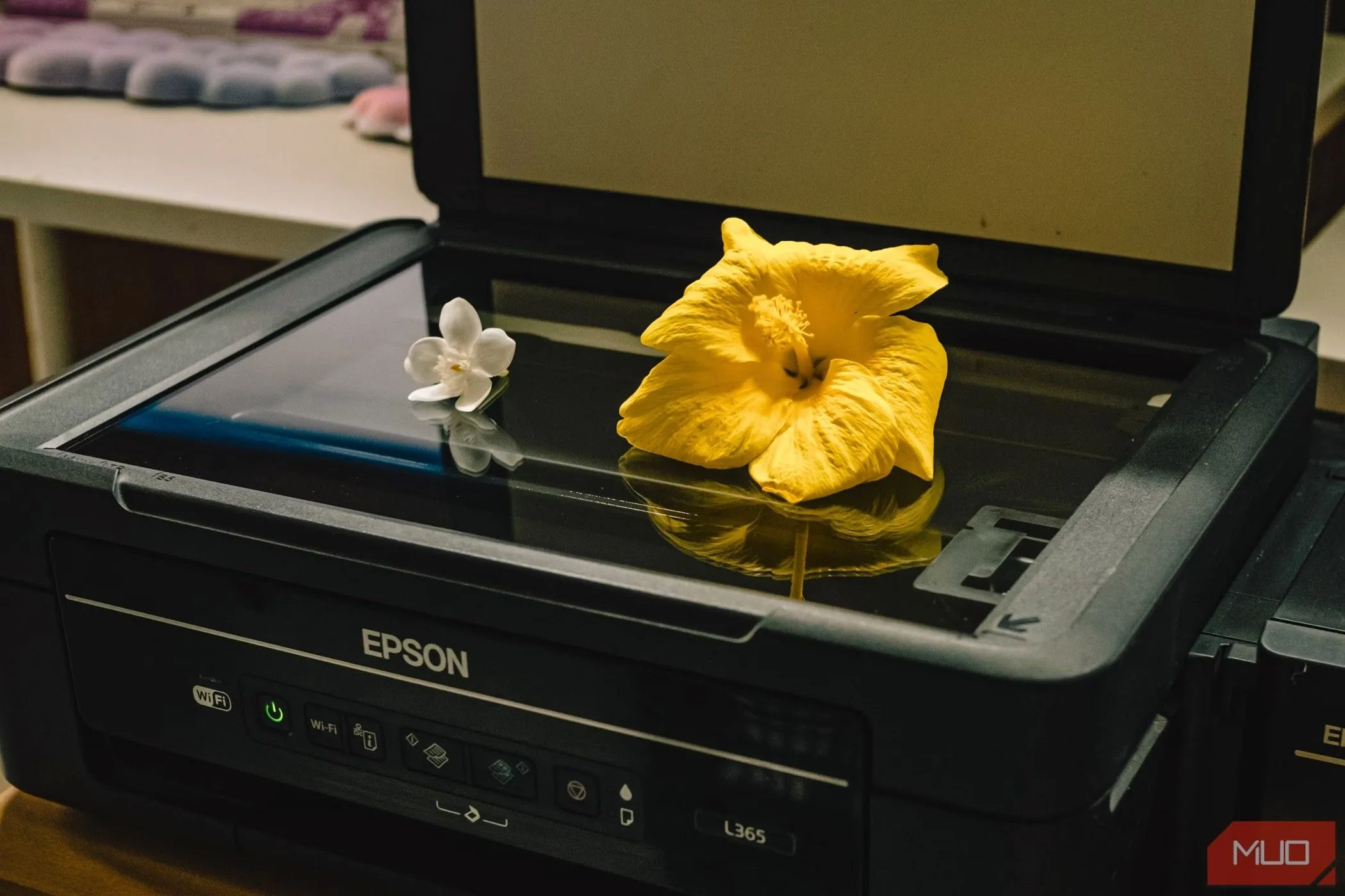 Máy scan phẳng truyền thống với nắp mở