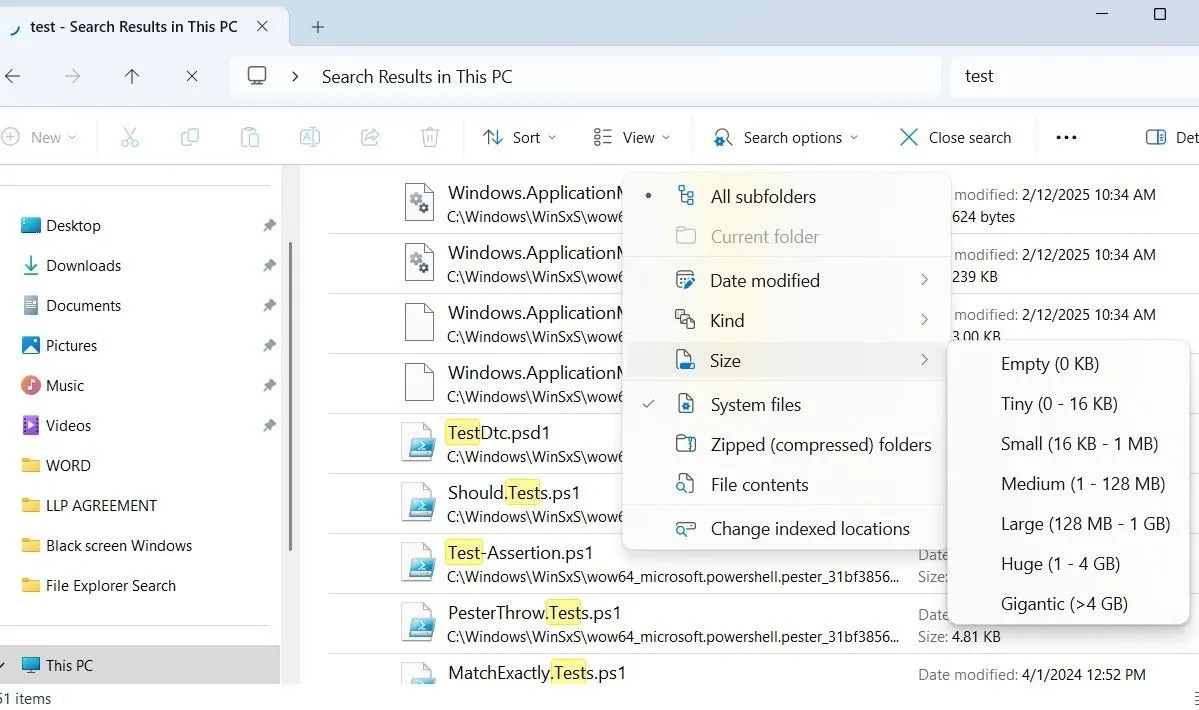 Menu tùy chọn tìm kiếm của File Explorer trên Windows