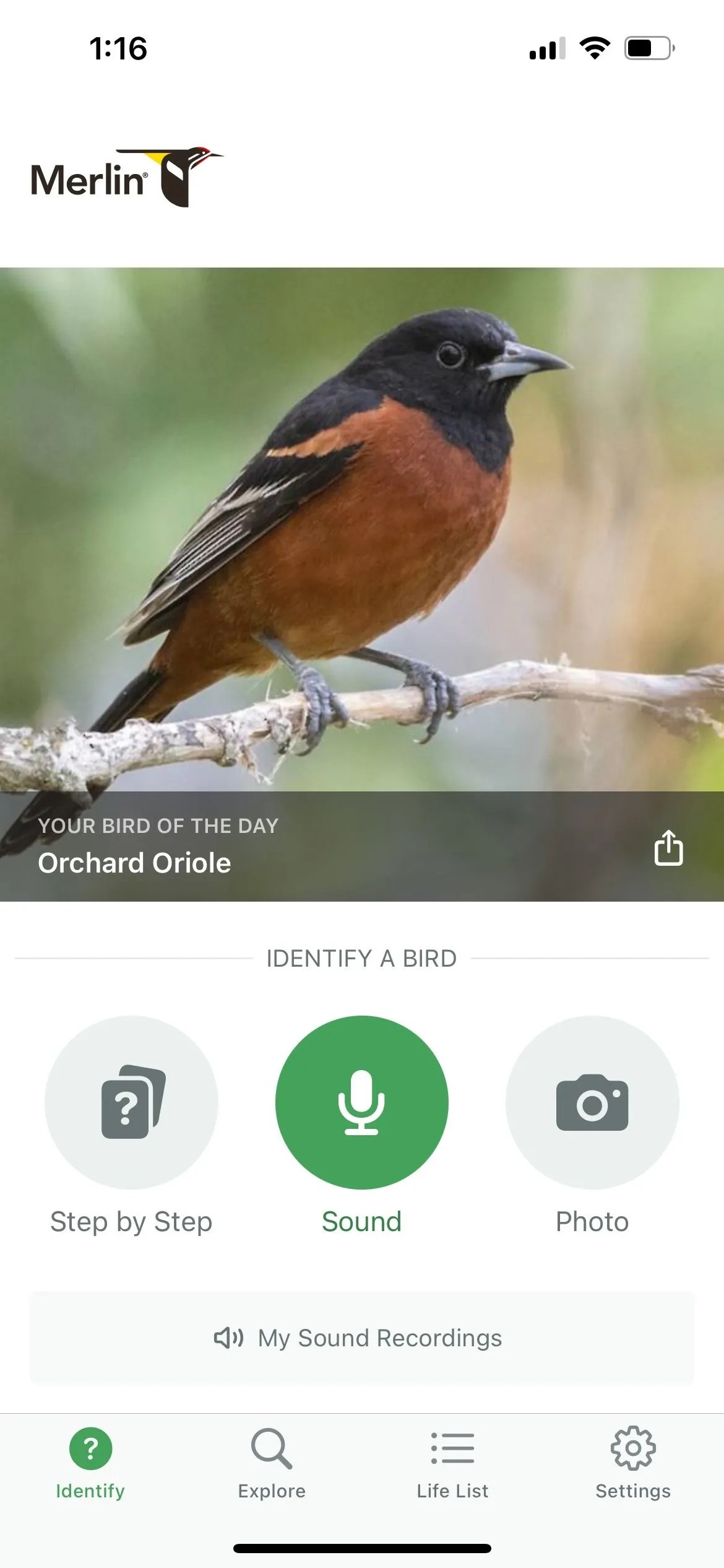 Merlin Bird ID hiển thị danh sách các loài chim được nhận dạng từ âm thanh