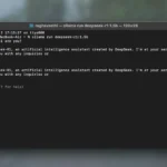 Mô hình AI DeepSeek-R1 đang chạy trong cửa sổ Terminal thông qua Ollama