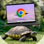 Một con rùa cõng Chromebook trên lưng, minh họa sự chậm chạp khi Chrome đầy cache và cần tối ưu hiệu suất.