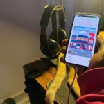 Người dùng đang sử dụng iPhone trong khi sạc