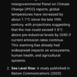 Người dùng thao tác trên điện thoại thông minh với ứng dụng ChatGPT đang hiển thị màn hình trò chuyện.
