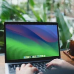 Người phụ nữ đang gõ bàn phím MacBook Air, minh họa việc nghiên cứu thông tin công ty trực tuyến