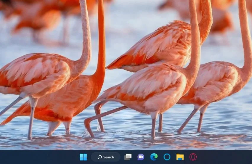 Thanh Taskbar gọn gàng và tùy biến của Windows 11, nơi chứa các biểu tượng ứng dụng và thông báo hệ thống