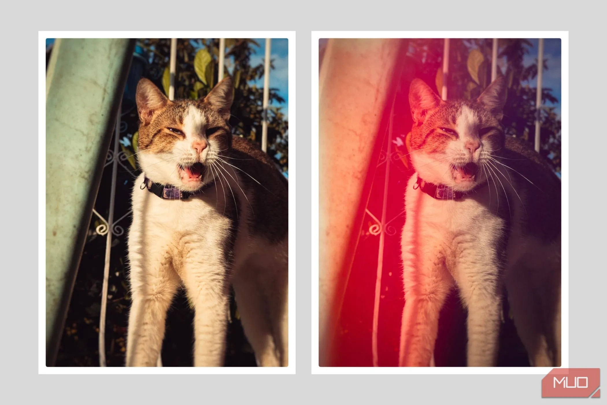 Thêm hiệu ứng rò rỉ sáng (light leak) và vignette cho ảnh điện thoại