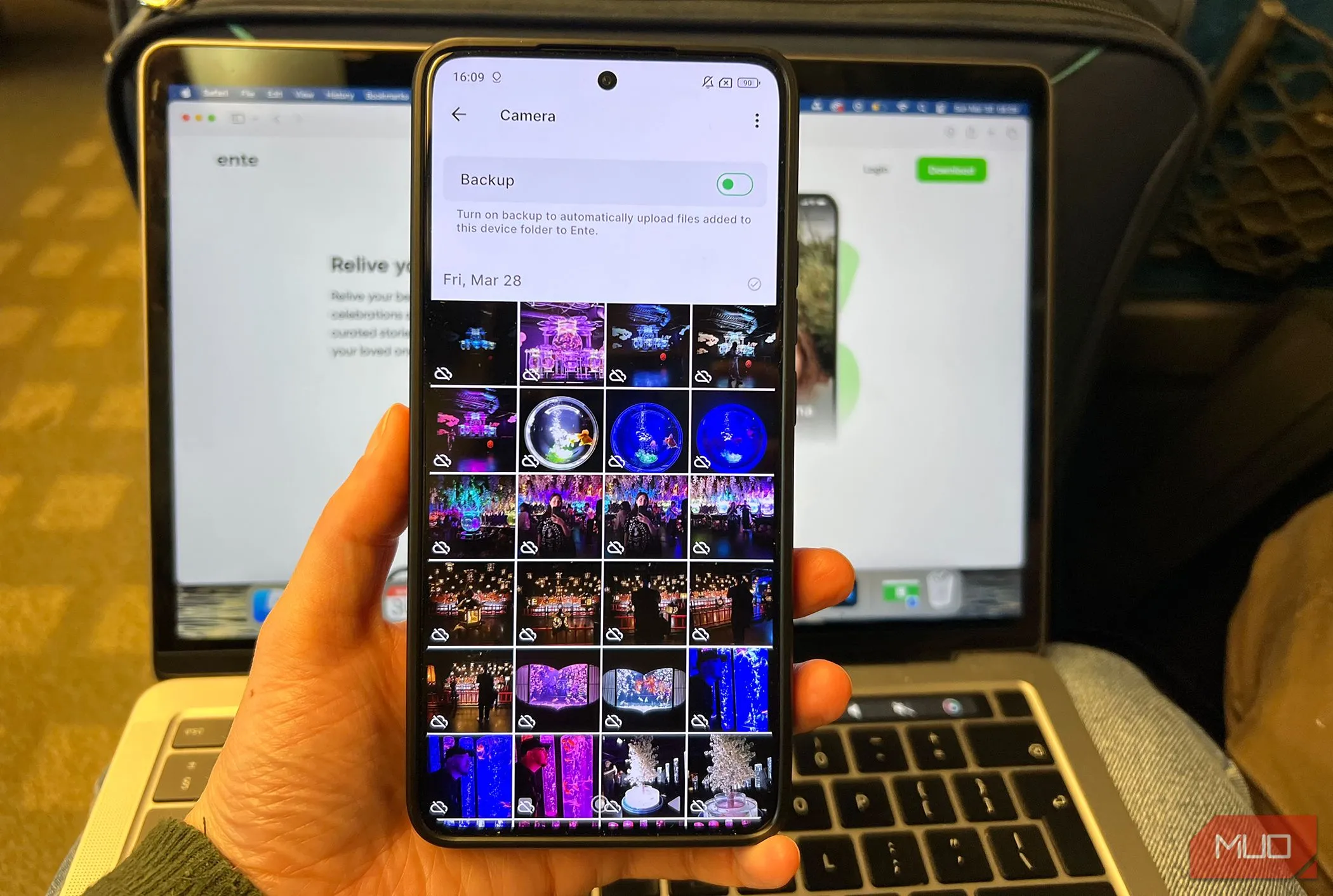 Thư viện ảnh trên Ente Photos đang sẵn sàng sao lưu, minh họa giao diện thân thiện và sắp xếp khoa học