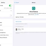 Tính năng sao lưu đám mây trên iPad hiển thị các tùy chọn cài đặt tự động.