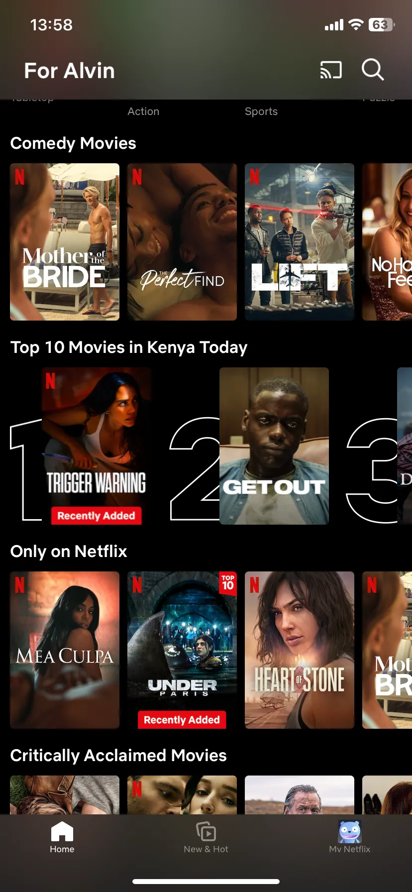 Trang chủ Netflix trên iOS, với các bộ phim và chương trình có thể tải xuống để xem ngoại tuyến khi đi du lịch.